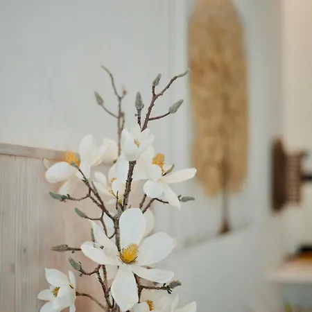 Casa Luxury Trieste